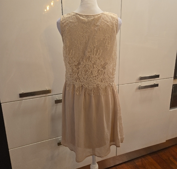 NWT Sabine Lace Overlay Fringe Sleeveless Dress Cream Size XS - Picture 3 of 10